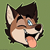 hushhusky hushhusky