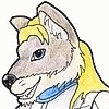 AdamWolf