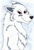 ArcticPhantom