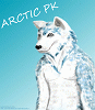 arcticpk