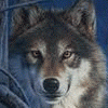 arthur-the-wolf