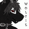 cursedbloodwolf