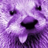 devintheotter