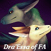 draessa-species