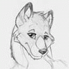 errorwolf