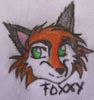 foxxy