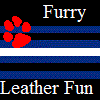 furry-leather-fun