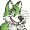 haltthewolf