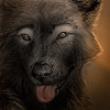 malwolf