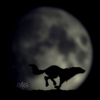 moonlitwolf714