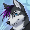 samwusky