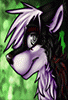 shadowraix
