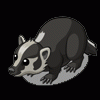 skunkbadger