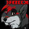 speeddog