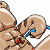swh