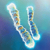 telomerekat
