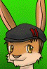 thehangedbunny