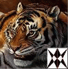 tigerninja36