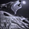 whitewolf0606