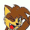 wolf-fox01
