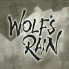 wolf4537