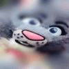 ~peepssnowleopard