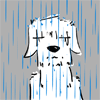 rainsoakedpuppy