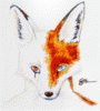 simonmcartfox