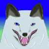 wolfthewhite