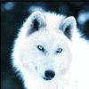 silverwolf1990