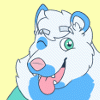 buddybearsky