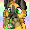 shepthor