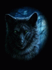 donkerewolf