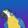 radio-parrot