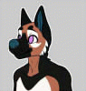 dakotagshep