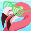 moderator-flamingo