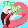 Moderator-Flamingo