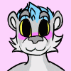CasinoTheOtter