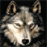sagewolf