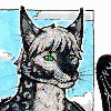 skyleopard