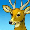 a-deer-is-fine-too