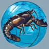 lobster-ball