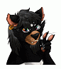 StormtheDevil
