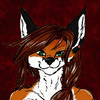 felixvulpes