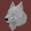 caiuswolf