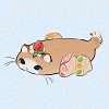 thecharmingcat