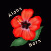 alohanora