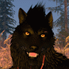 wwolfcz