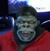 genxgorilla