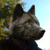 blackwoodwolf